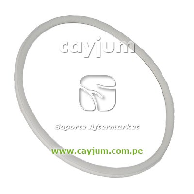 ANILLO DE CAJA DE ACCIONAMIENTO