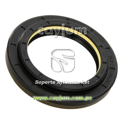 RETEN SEMIEJE POSTERIOR