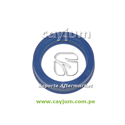 RETEN CILINDRO DIREC