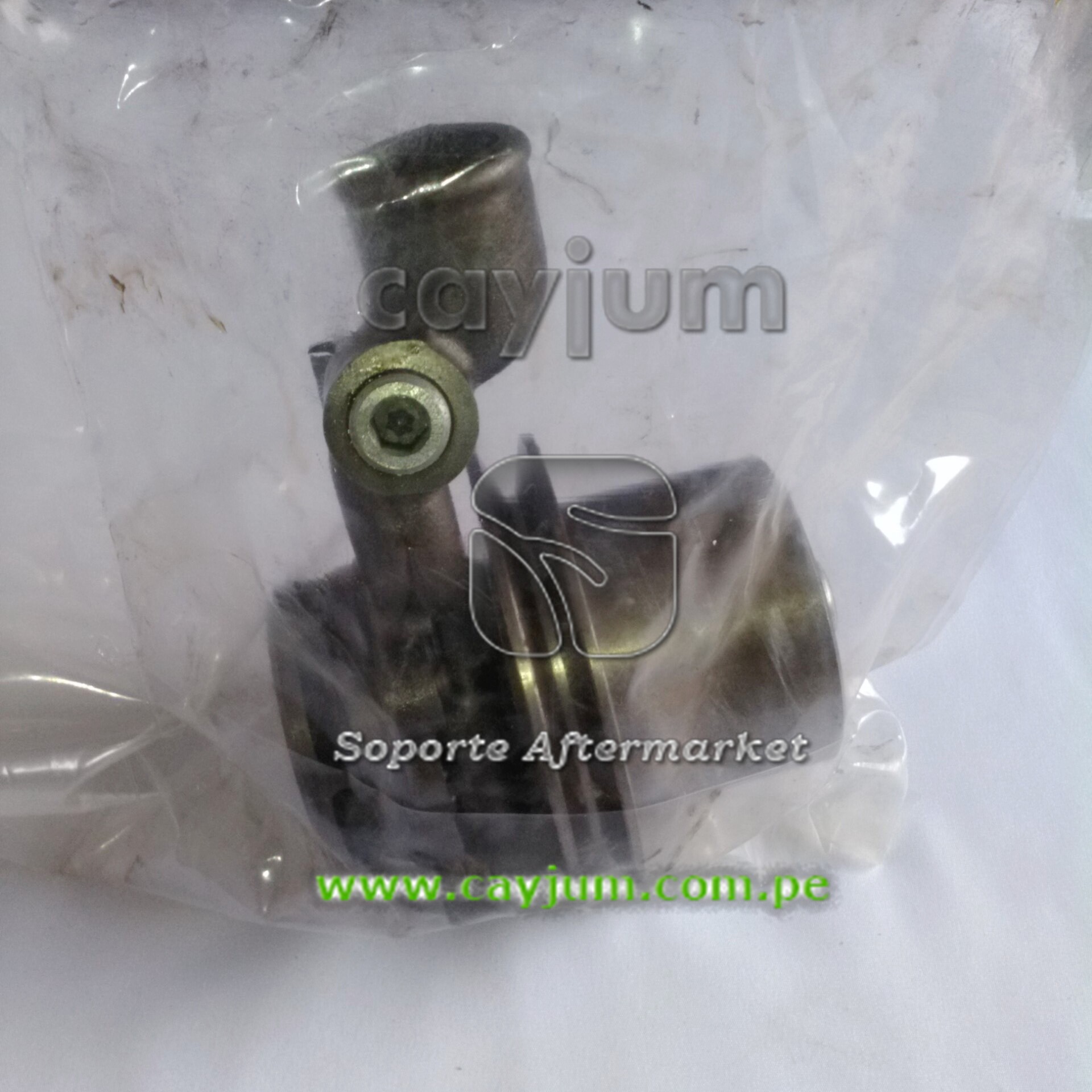BOMBA AGUA CON POLEA